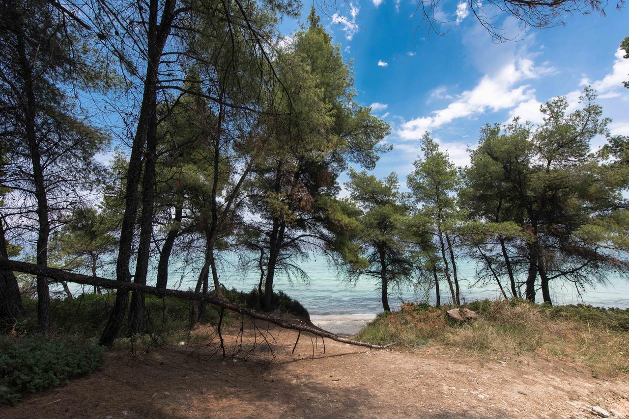 #Luxlikehome - Kriopigi Pines By The Sea Екстер'єр фото